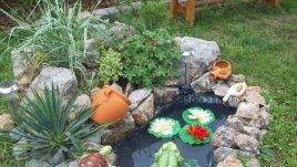 Всичко за вашите цветя и градина на „Флора – пролет 2011“