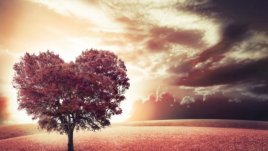 Известни случки от живота на Скот Фицджералд и Ърнест Хемингуей