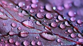 Мисъл на деня за бурята в живота ни