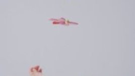 Какви играчки да изберем за бебето?