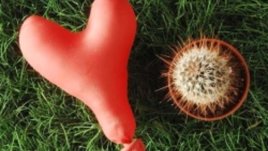 Рискуваш ли в любовта?