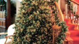 Блиц коледен конкурс