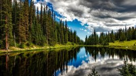 Мисъл на деня за... красотата