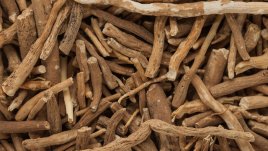 Защо е полезна супербилката ашваганда?