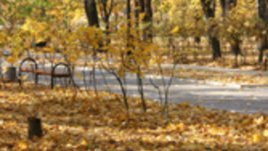 Есенна украса за душата