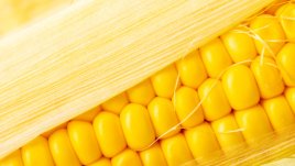 Зеленчуци, които е добре да ограничите 