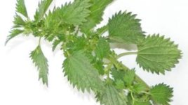 Супа “Здраве”