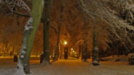 8 дни до Коледа &ndash; разтоварващ ден