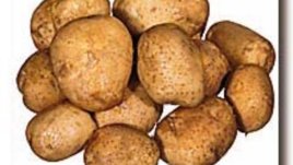 Кои картофи са отровни?