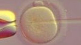 Как се правят бебета