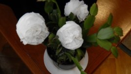 Винаги цъфтящи цветя – илюзия за пролет