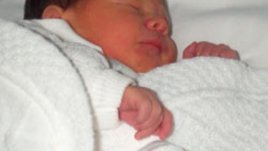 Лекции за бременността, родилката и новороденото през януари 2012