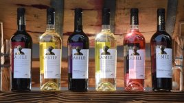 Kabile Сира на „Вила Ямбол“ бе избрано за най-добро вино от България