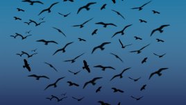 Знаци, които подсказват, че е време да сложите край на връзката