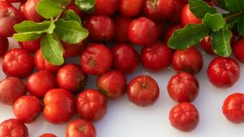 Билки за мощен имунитет в сезона на грипа и настинките