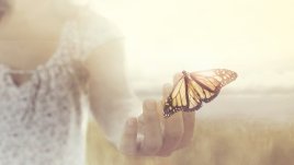 10 истини, които никой не ви казва