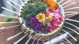 Мисъл на деня за... нашата реалност