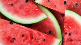 Динята, кората и семките й са много полезни за здравето 