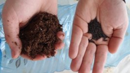 Подготовка за билкова градина на балкона в 4 стъпки