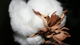 Как да поддържаме материите, които носим през лятото