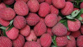 Личи, кактус и лайм за красива кожа