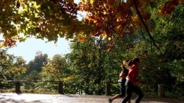 Защо тичането е най-добрият начин да отслабнем?