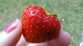 Как да се предпазим от сърдечни заболявания?