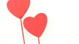 Мисъл на деня