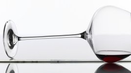 Мисъл на деня