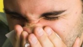 Днешните алергии – проблем за цяла Европа