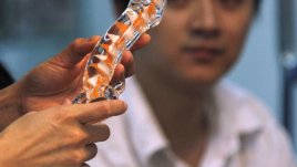 Какво трябва да знаете за половата мощ на мъжа