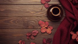 4 зодии, за които ноември ще е прекрасен