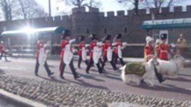 Как изглежда в българските очи едно уелско начално училище?