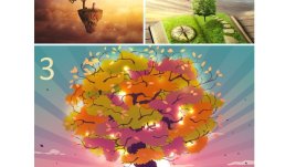 3 магически дървета разкриват какво ви очаква