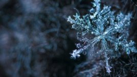 Мисъл на деня за... себе си