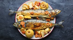 Пълнена скумрия за Никулден