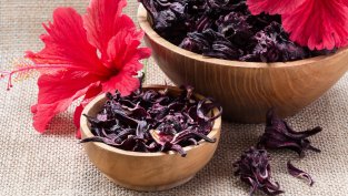 5 вълшебни растения, които слагат край на косопада