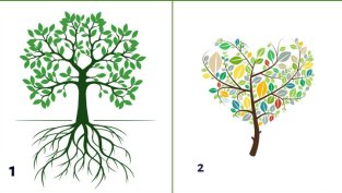 Изберете дърво и вижте какво разкрива за вас