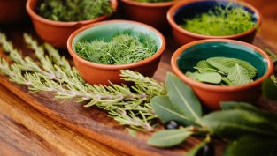 8 есенни билки, които можете да отглеждате вкъщи