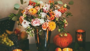 Обичаите на Димитровден