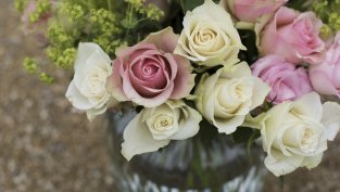 Днес е Света Екатерина!