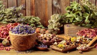 Подуване и газове? 5 билки спасяват положението