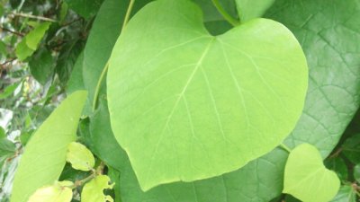 Дълбоко да обичаш и въпреки всичко да запазиш себе си