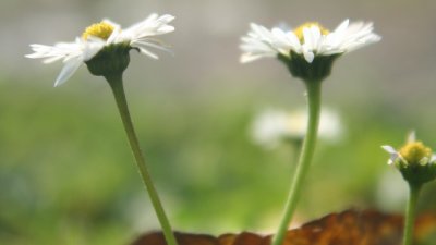 Когато видим себе си в очите на другия...