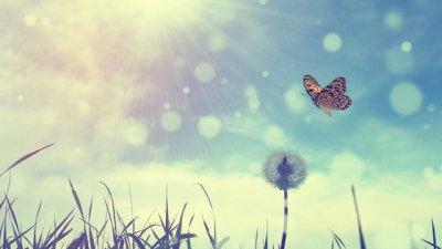 Вдъхновение на седмицата: 5 правила за живот от Петър Дънов