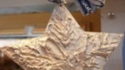 Коледни звезди