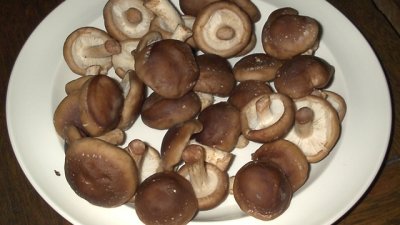 Някои видове гъби и техните ползи за здравето