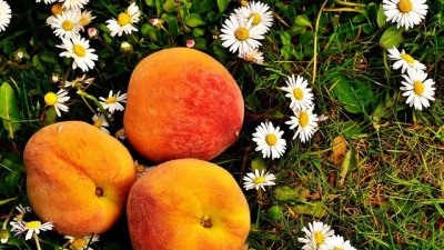 Тридневна диета с праскови