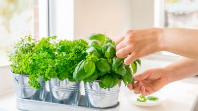 Плодове и зеленчуци, които може да отглеждате вкъщи 