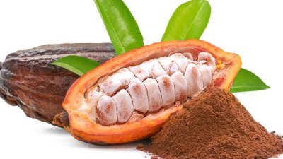 Какаова вода – здравословни ползи от малко познатата напитка 